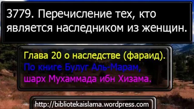 3779 Перечисление тех, кто является наследником из женщин смотреть онлайн