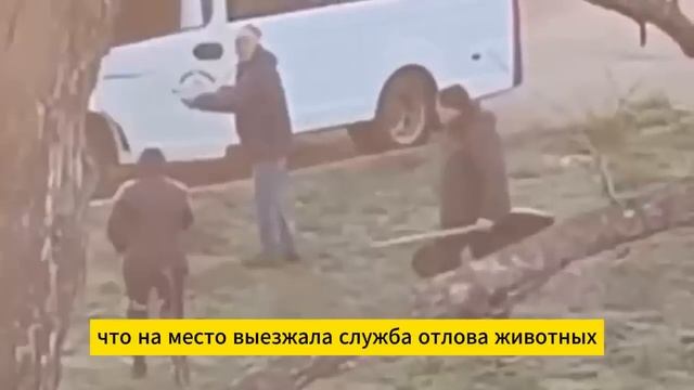 Отец отводил детей в детсад поблизости смотреть онлайн