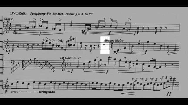 ORCHESTRAL EXCERPT for FRENCH HORN 21: Dvořák. Symphony 9 смотреть онлайн