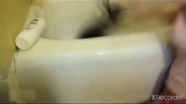 Смеялась до слёз во время мытья кота в ванной. смотреть онлайн