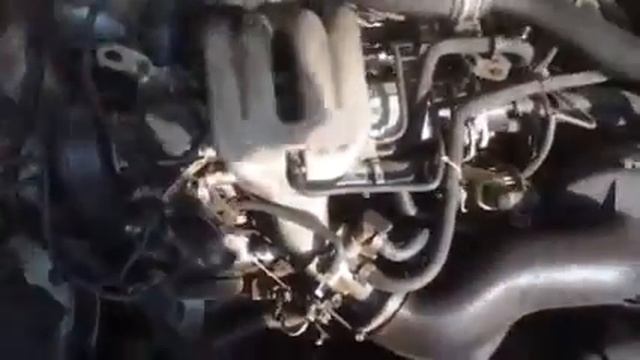 Контрактный двигатель Renault 19 Хэтчбэк 5 дв. 5 ст. мех. Бензин 1.7 л Инжектор 1989 смотреть онлайн