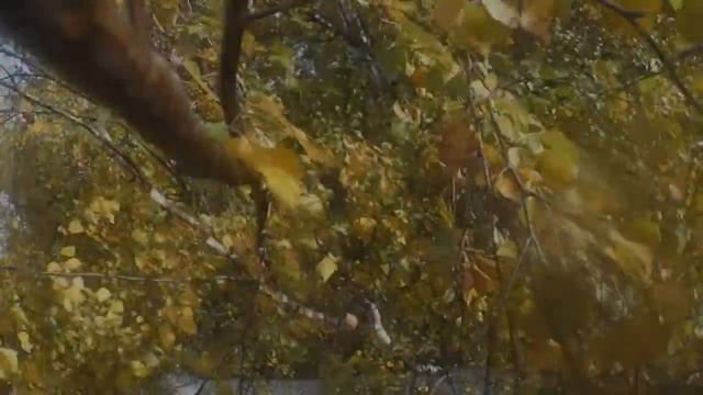 Первый полет с камерой на гоночном дроне смотреть онлайн