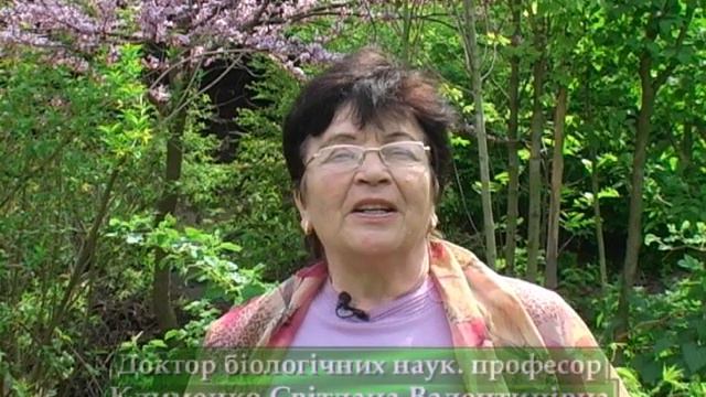 САД НАД ДНІПРОМ смотреть онлайн