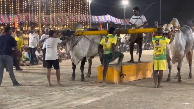 AKULA GANAPAVARAM SENIORS 3RD PLACE WINNERS RK BULLS (SIMHA NANDU) смотреть онлайн