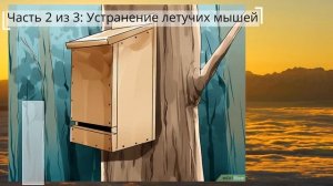 Как избавиться от летучих мышей