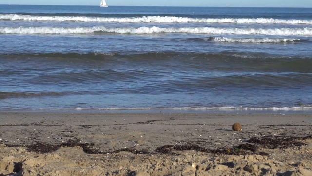 ШУМ СРЕДИЗЕМНОГО МОРЯ.ИСПАНИЯ.ЗИМА. смотреть онлайн