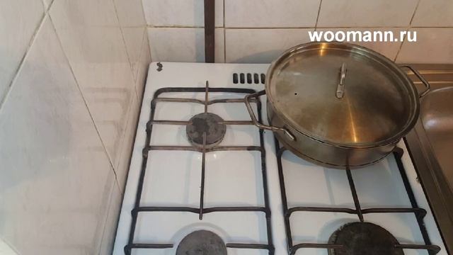 Домашние Животные и Их Уход