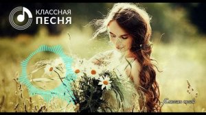 ТЫ МЕНЯ НЕ ЛЮБИЛА _ ОБАЛДЕННАЯ ПЕСНЯ