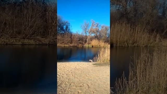 Белгородская область, г. Шебекино. Благоустроенная набережная реки Нежеголь. смотреть онлайн