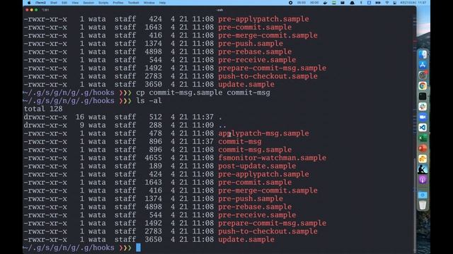 【質問箱】gitコミットメッセージの修正【git commit hooks】 смотреть онлайн