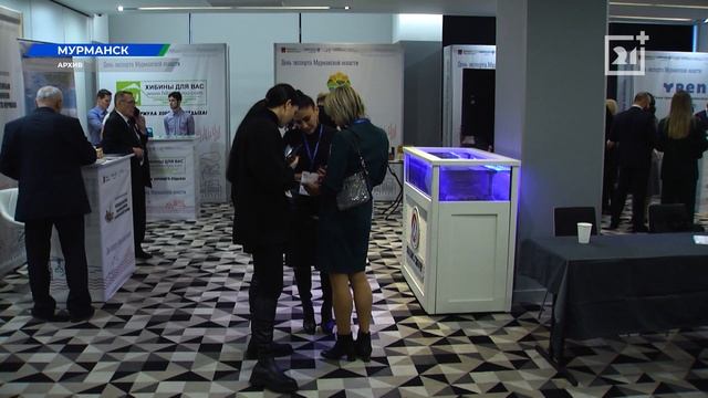 Первая партия морских ежей из Мурманской области отправилась в Казахстан смотреть онлайн