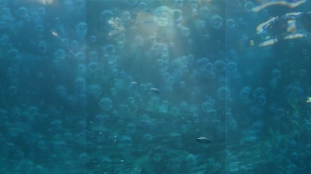 МЕДИТАЦИЯ 432Hz ЭТАЛОННЫЙ КЛЮЧ | АКТИВАЦИЯ ДАРОВ И ТАЛАНТОВ 285Hz528Hz852Hz смотреть онлайн