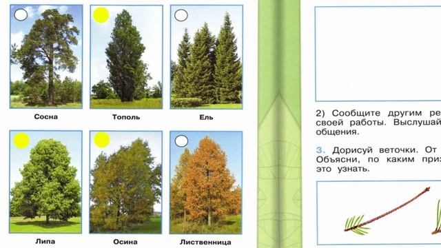Окружающий мир. Рабочая тетрадь 1 класс 1 часть. ГДЗ стр. 17 №1 смотреть онлайн