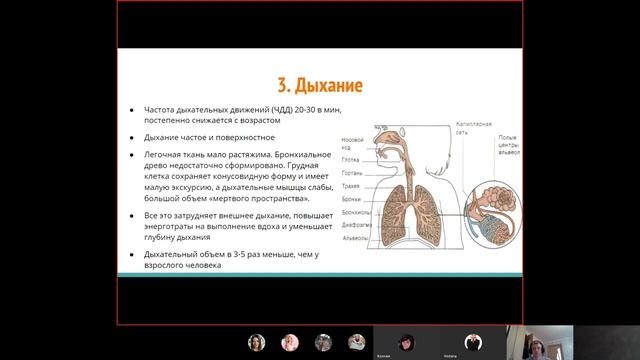 Анатомия и физиология ребенка 3-4 года 3 часть смотреть онлайн