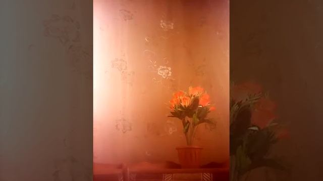 Лайфхак! Как сделать морскую воду для прополоскавания носа в домашних условиях смотреть онлайн