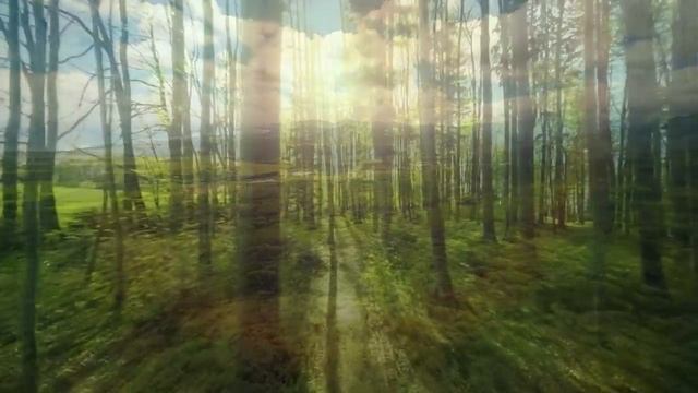 Музыка для релаксации и успокоения нервов смотреть онлайн