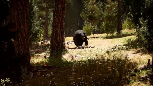 Far Cry 5 Wildlife Black Bear смотреть онлайн