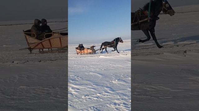 Дукати в русской упряжи. смотреть онлайн