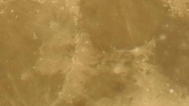 Сближение Юпитера и полной Луны 16 июня 2019 года над Харьковом смотреть онлайн