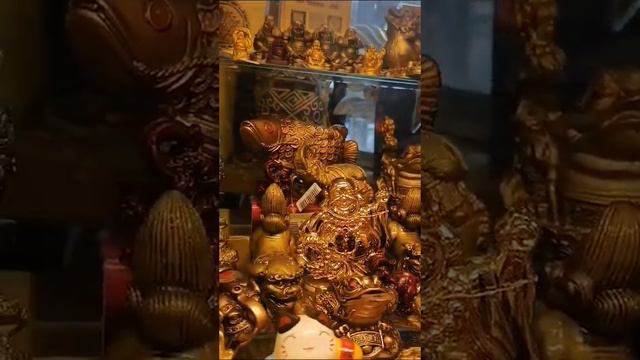 экзотический магазин статуэтки животных Сочи Лазаревское 10 февраля 2024 год смотреть онлайн