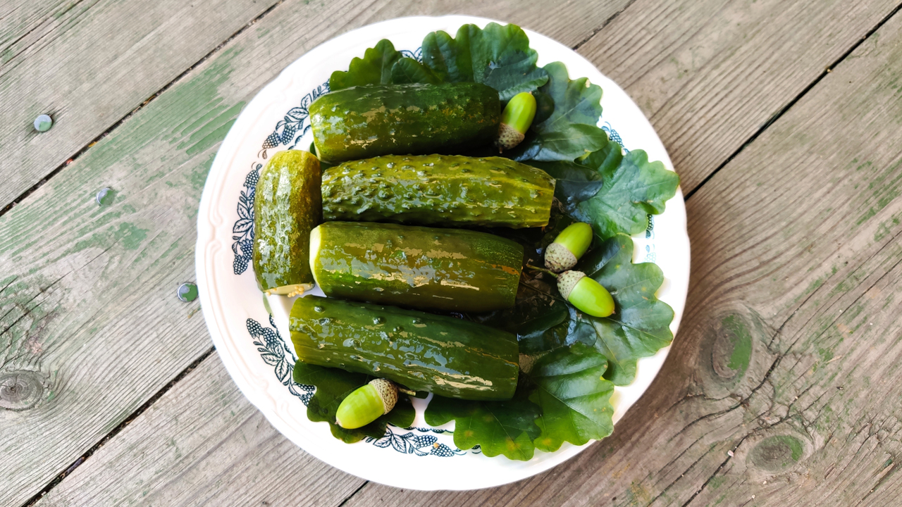 Малосольные огурцы ? с дубовыми ? листьями смотреть онлайн