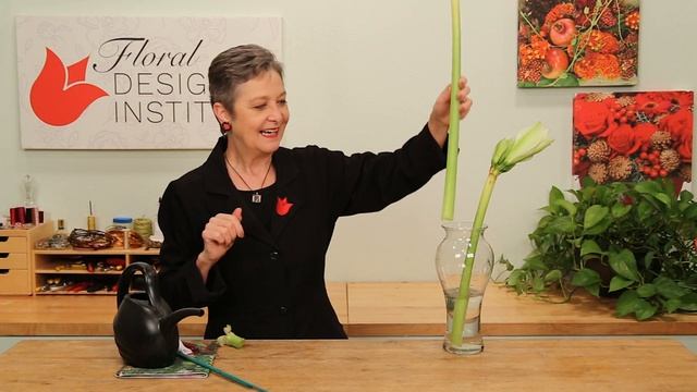 Designing with Amaryllis смотреть онлайн