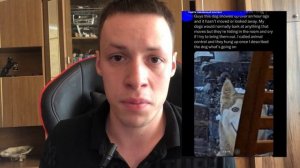 СМАЙЛ ДОГ ВЕРНУЛСЯ? Улыбающаяся собака..