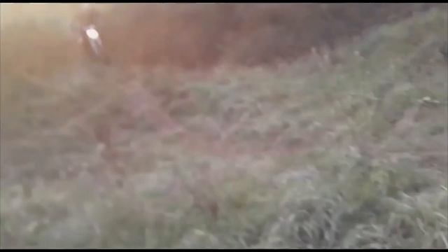 Покатушка на питбайке,наваливаем как можем!!! смотреть онлайн