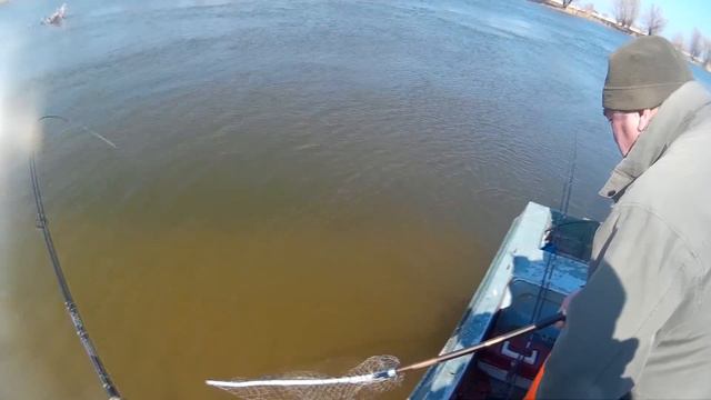 БОРЬБА С ЭТИМ КРАСАВЦЕМ БЫЛА ОЧЕНЬ НАПРЯЖЕННАЯ! УЛЬТРАЛАЙТ НА ПРЕДЕЛЕ... смотреть онлайн