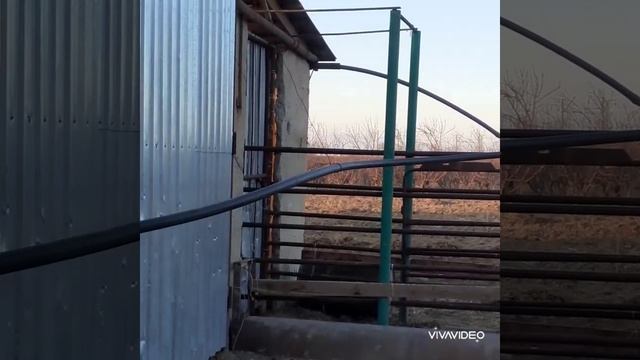 Дом в Таразе смотреть онлайн