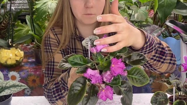 ZION/РЕЗУЛЬТАТЫ ЭКСПЕРИМЕНТА смотреть онлайн