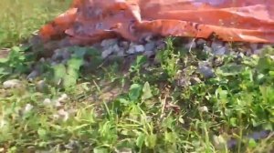 Моя первая скважина! (часть 3). Переставил обратный клапан в низ на рабочею трубу!