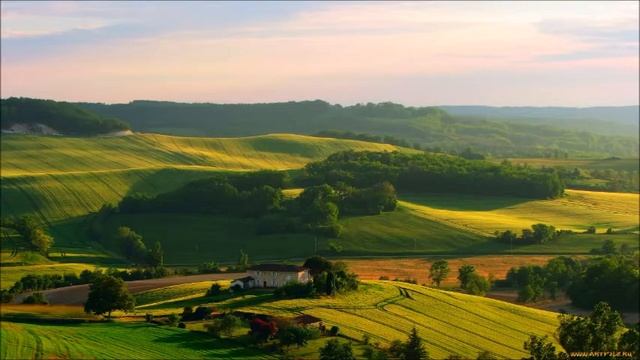 Полезные свойства манго смотреть онлайн