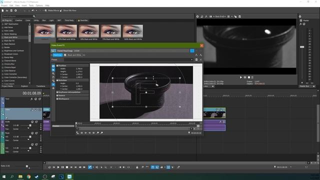 Quick Start Guide for Movie Studio 17 Platinum смотреть онлайн