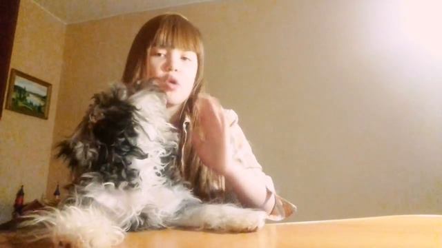 Показала свою собаку 🐶 смотреть онлайн