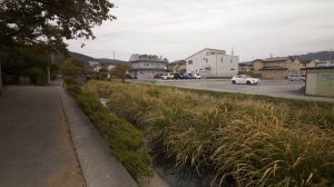 4K・Прогулка у озера Сува