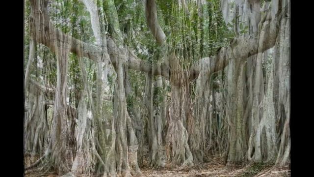 Стройка Чек-Лист