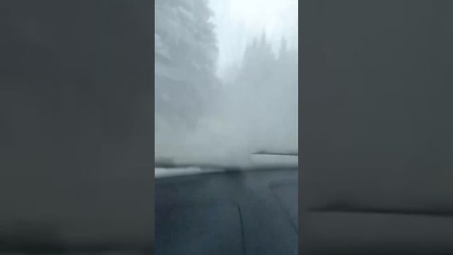 Здесь до нас никто не ездил ? #shorts #car #offroad #toyota #авто