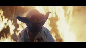 Магистр Йода и Скайуокер.