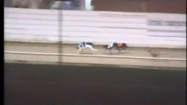 IGB - The www.ownagreyhound.ie A4/A5 Round 1 Heat 1 17/12/2019 Race 4 - Shelbourne Park смотреть онлайн