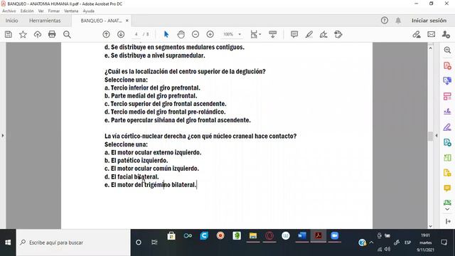 Repaso de Anatomía Humana - Banqueo смотреть онлайн