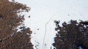 Апрель в Тайшетском районе