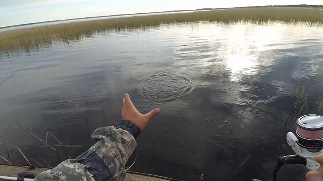 Окунь и Щука Омская область смотреть онлайн