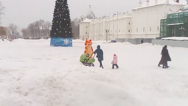 Кот вологда смотреть онлайн