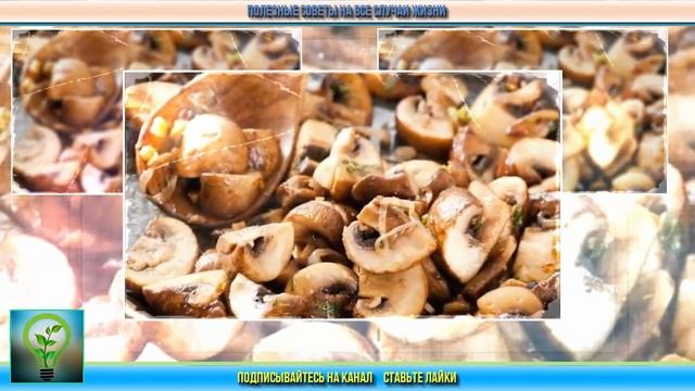 Мыть или не мыть? Продукты, с которыми многие обращаются неправильно. Кулинарные лайфхаки