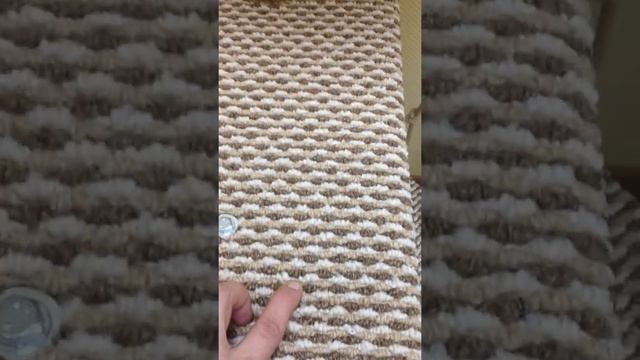 Высокий комплекс когтеточка для мейнкуна, бенгала, абиссинца смотреть онлайн