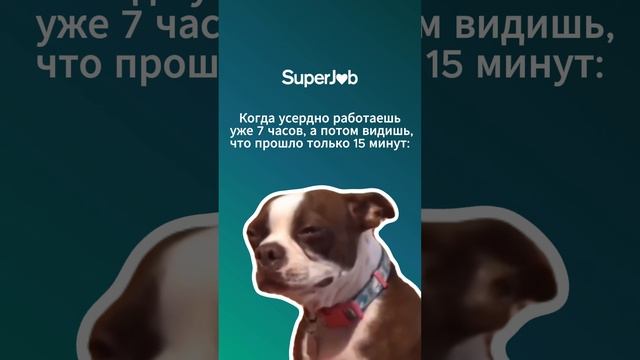 Почему мир так несправедлив?! смотреть онлайн