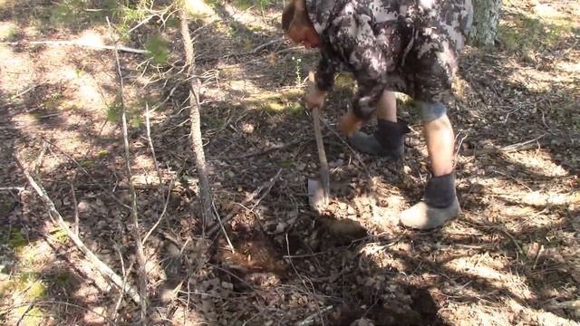 Набили коляску под завязку! смотреть онлайн