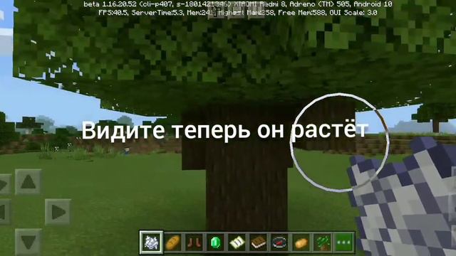 Как выростить тёмный дуб в маинкрафте смотреть онлайн