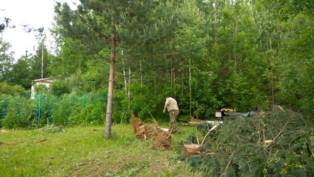 Корчевка смотреть онлайн